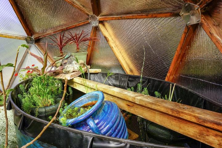Pond Picture