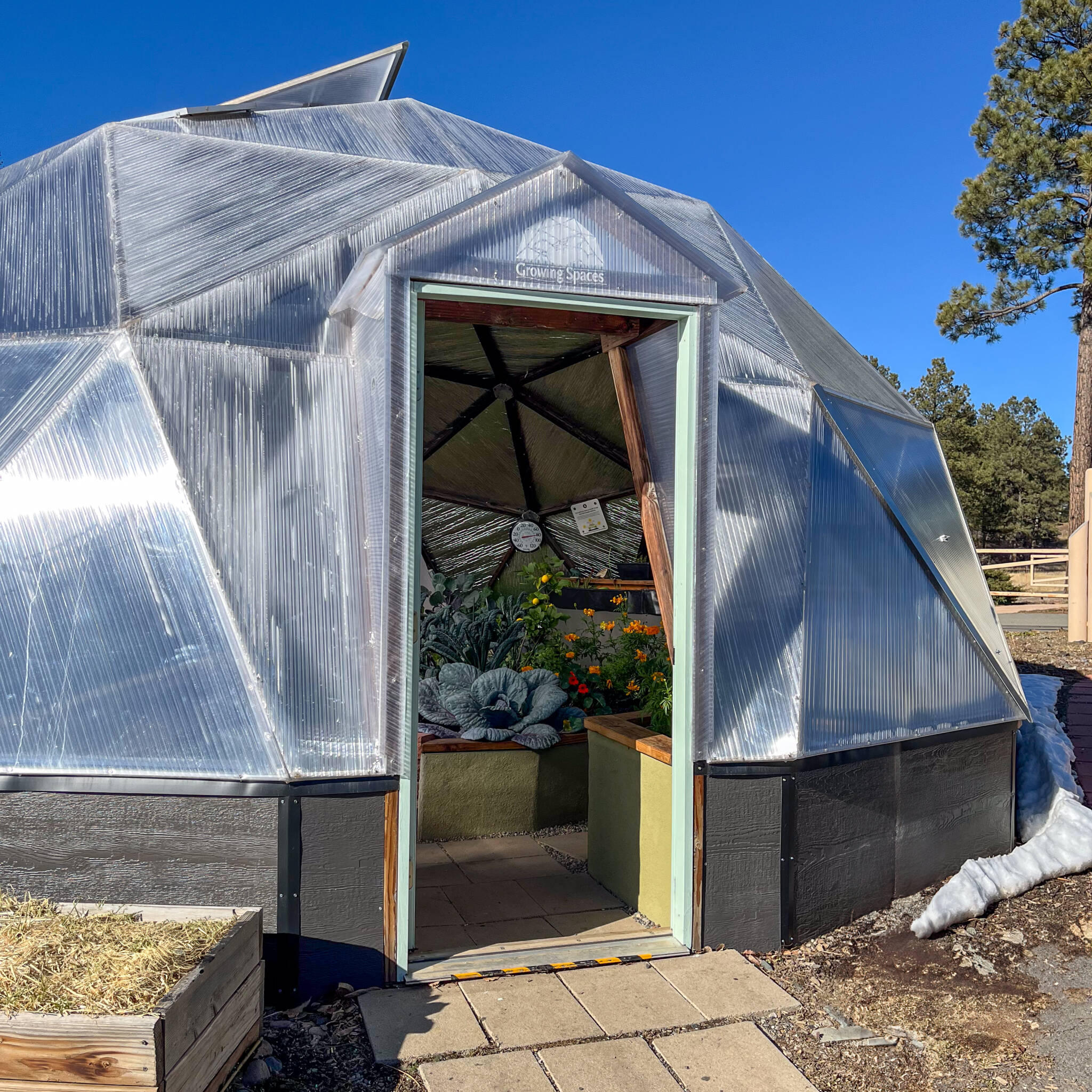 26 foot diameter growing dome greenhouse with door open during winter