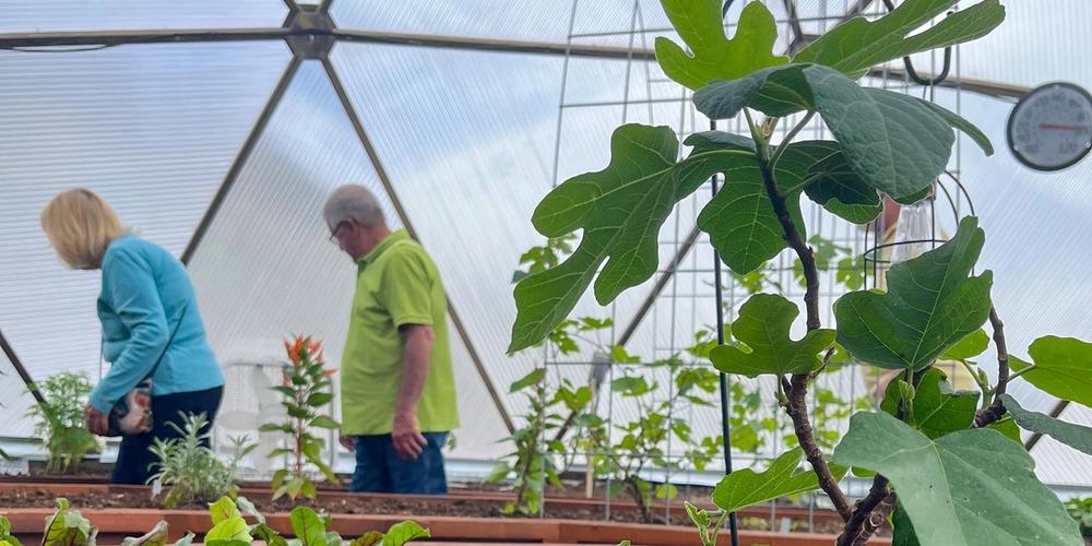 riogrande33growingdome