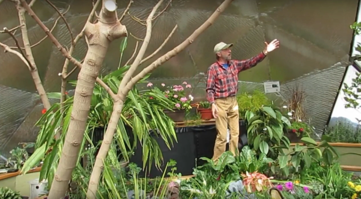Tropical paradise inside a Growing Dome Greenhouse
