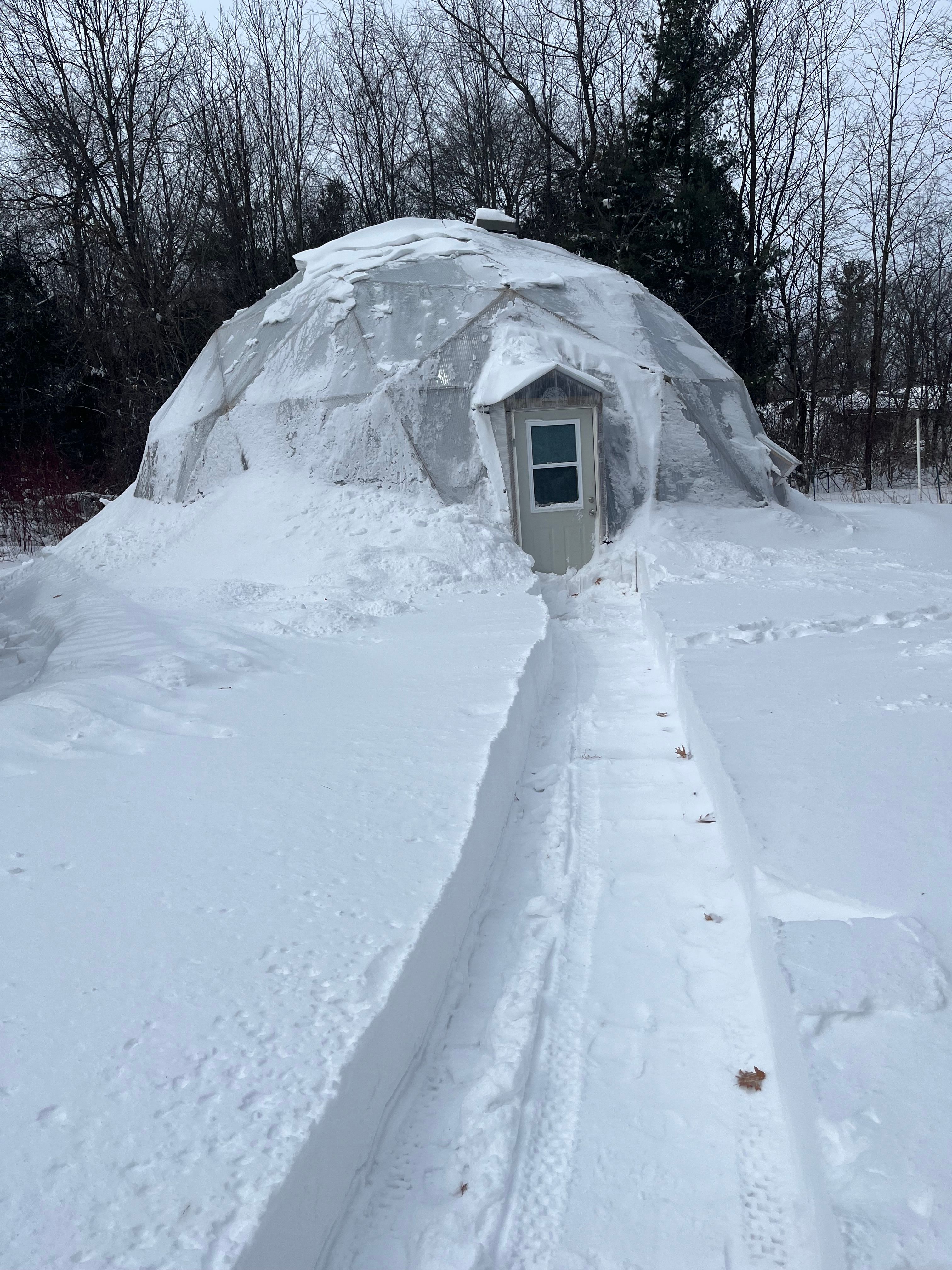 A Growing Dome greenhouse covered in snow with a path shoveled to the greenhouse