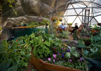 founders udgar and puja parsons enjoying their gowing dome full of vegetables and flowers