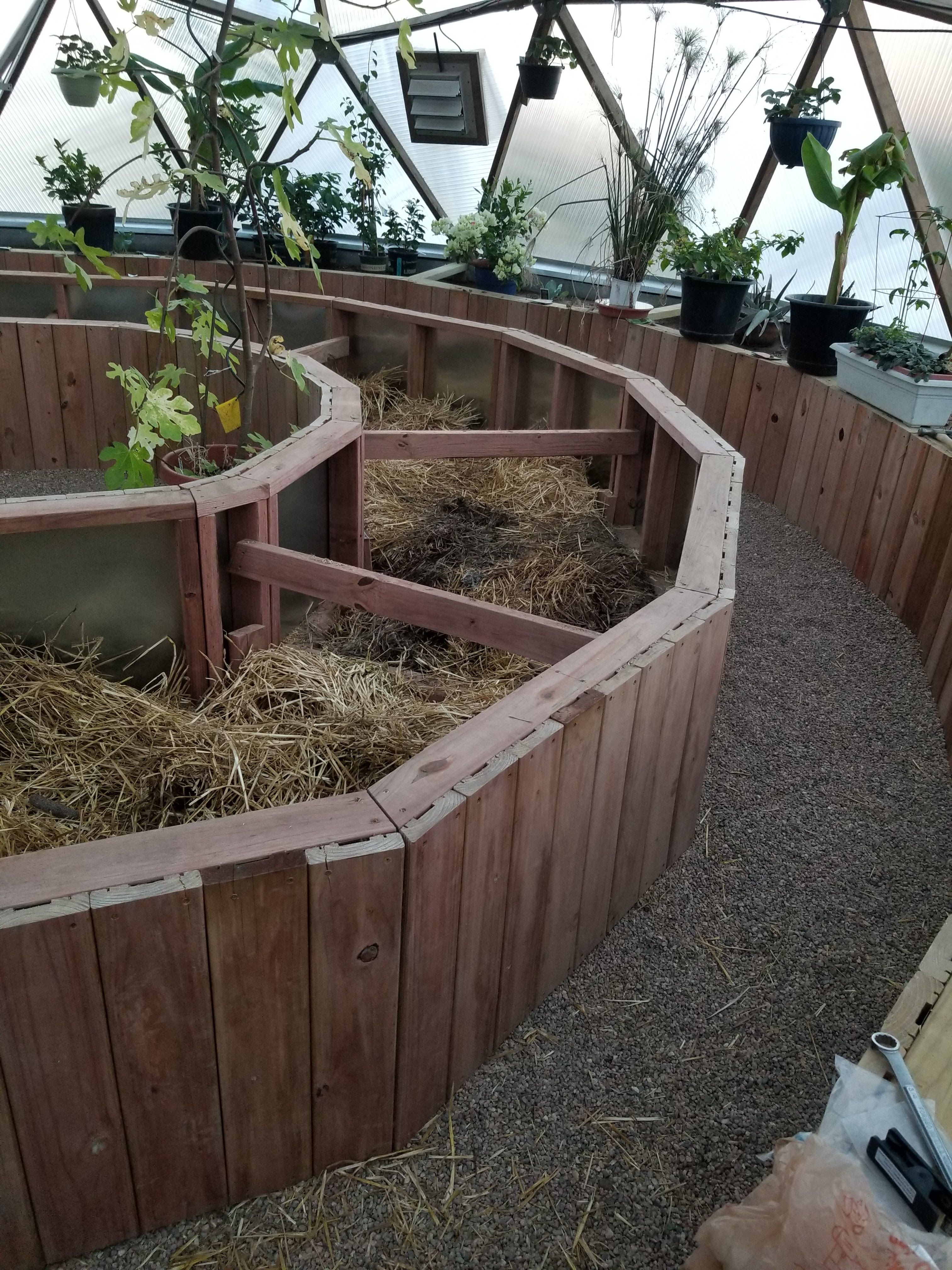 raised bed construction in Probst dome