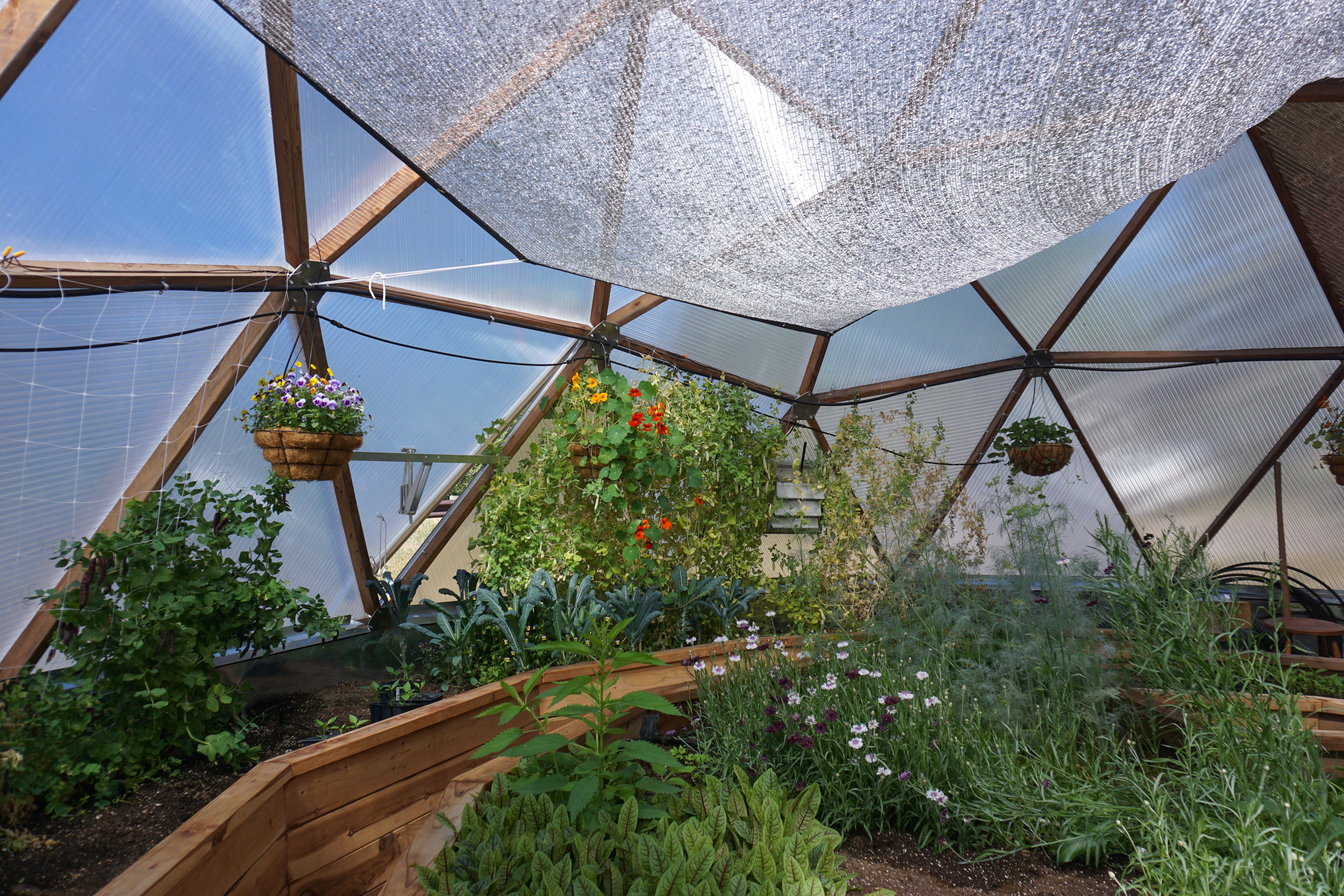 shade cloth hanging from the inside of the dome