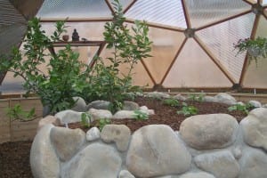 Center-Rock-Bed-cropped-300x200