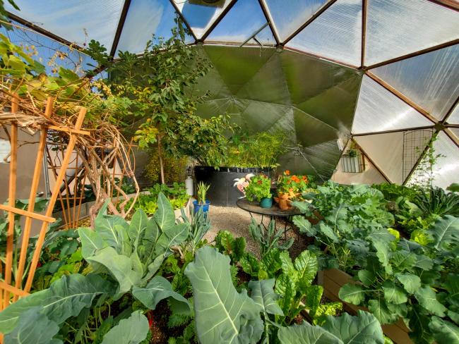 North wall reflectix insulation inside a geodesic dome greenhouse