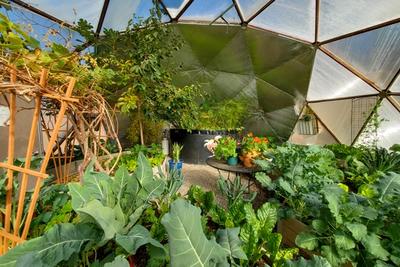 North wall reflectix insulation inside a geodesic dome greenhouse