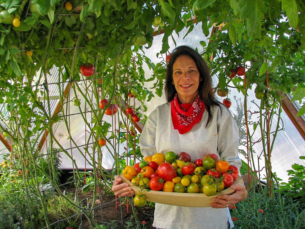 Woman holding a basket of tomatoes in a greenhouse
