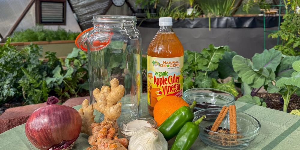 A large jar, apple cider vinegar, two glass bowls with miscellaneous spices, two jalapeños, an orange, a head of garlic, a bowl of horseradish powder, and turmeric root, ginger root, and a red onion resting on a table in a greenhouse
