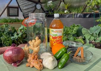 A large jar, apple cider vinegar, two glass bowls with miscellaneous spices, two jalapeños, an orange, a head of garlic, a bowl of horseradish powder, and turmeric root, ginger root, and a red onion resting on a table in a greenhouse