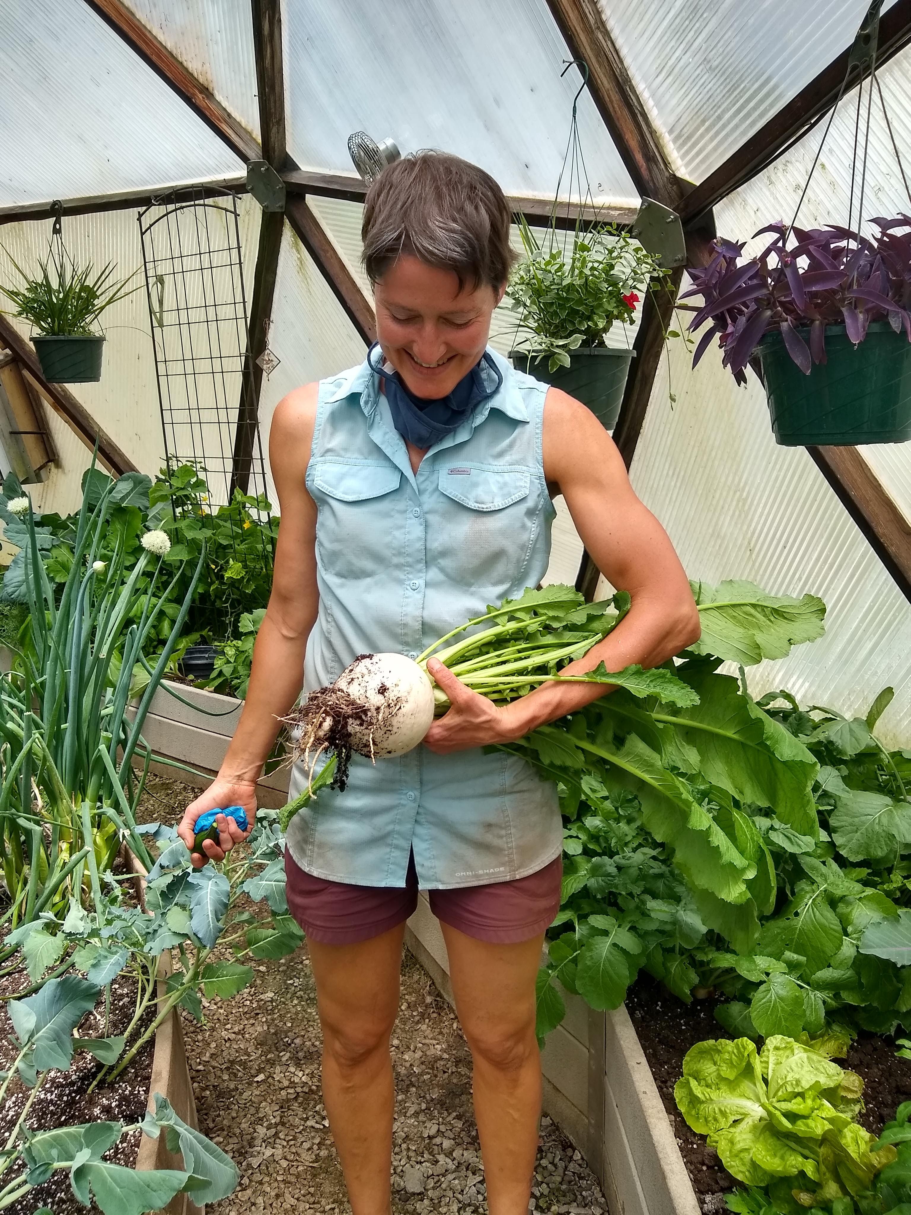 woman holding a freshly harvested very large turnip