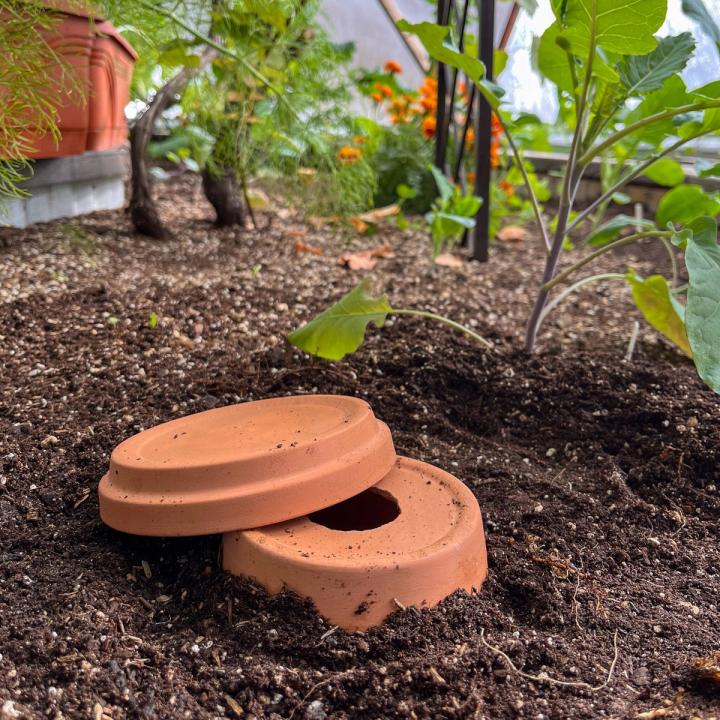 Saucer of a terracotta pot resting on top of the exposed top of a homemade olla as an automated greenhouse irrigation system