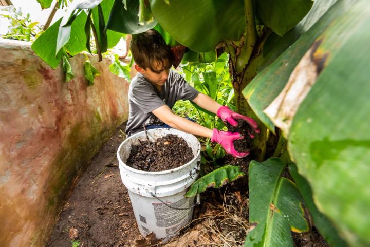 planting in tropical greenhouse