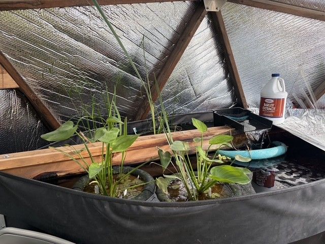 Floating planters in a Growing Dome pond