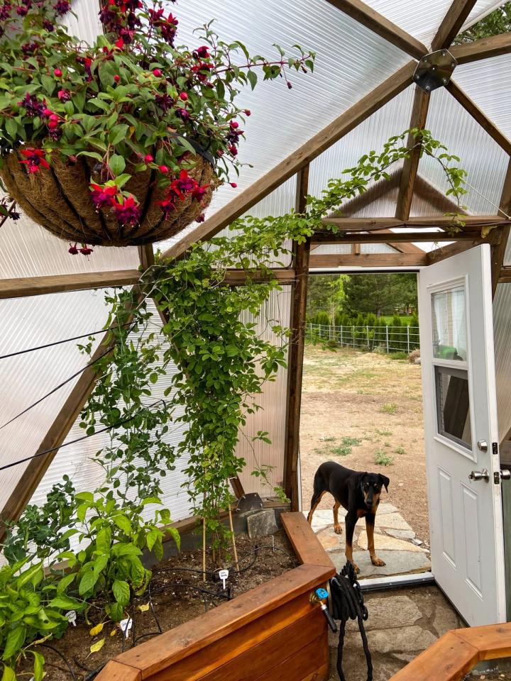 Nevada greenhouse