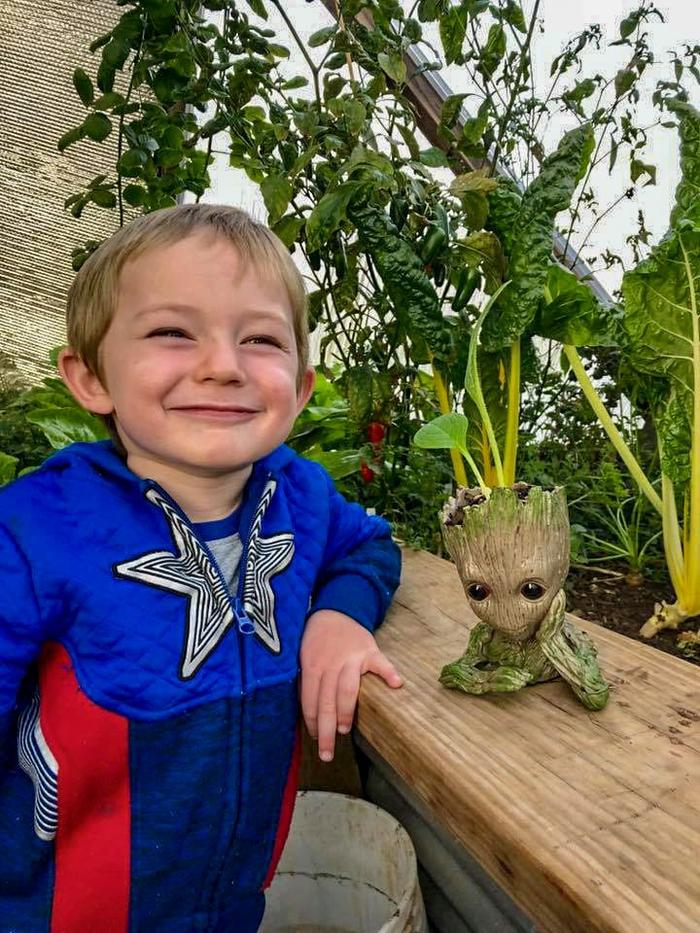 winter plants and root vegetables with groot