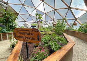 inside 42' geodesic dome growing food for Archuleta County Seniors
