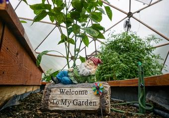 So Many Seeds to Sow!