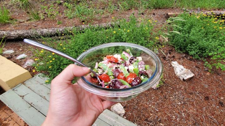 Ready to Eat Fresh Bean and Tomato Salad