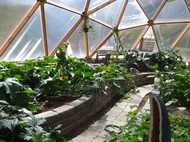 Greenhouse Chocolate Zucchini Cake image