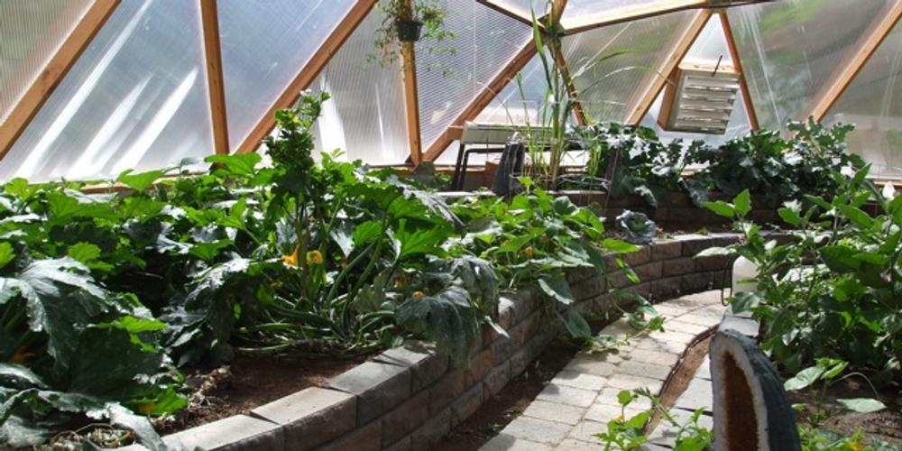 Greenhouse Chocolate Zucchini Cake image