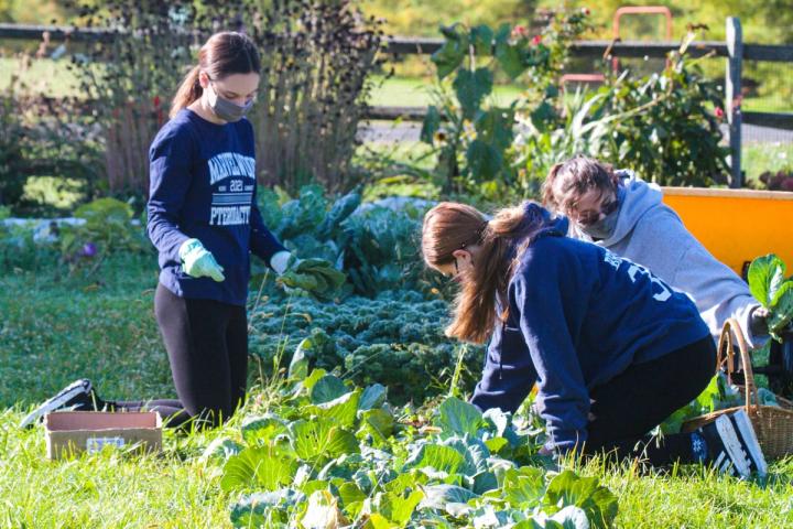 students farming outside school greenhouse