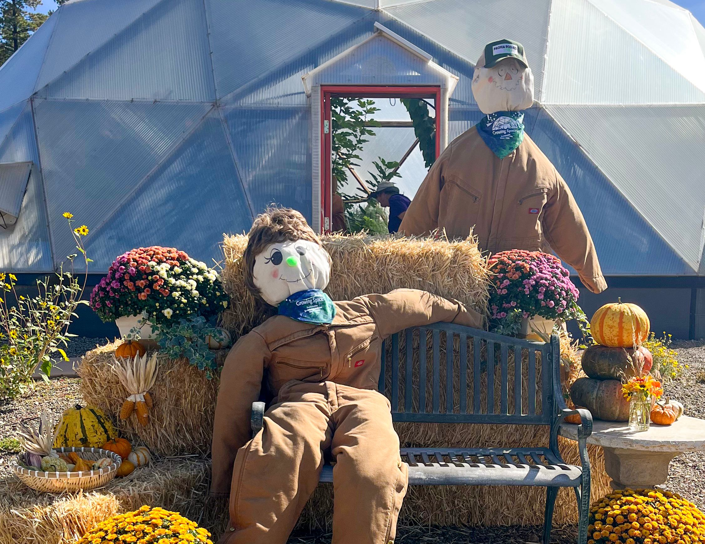 scarecrows outside 42 dome with strawbales gourds pumpkins and flowers