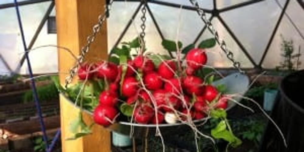 Truckee Community Farm Wins Your 2 Cents Grant image