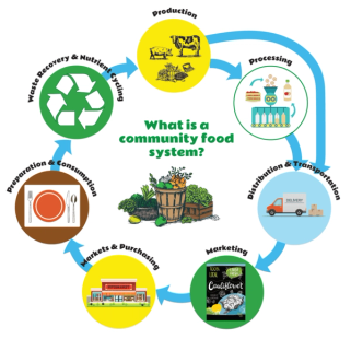 Community Food System graphic from production to waste recovery