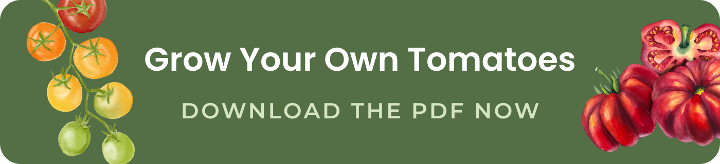 grow your own tomatoes download the pdf now