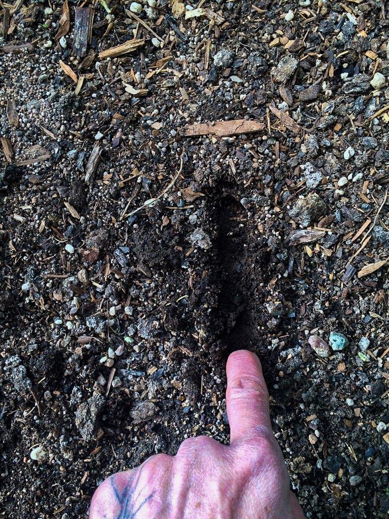 Healthy Soil Test with finger