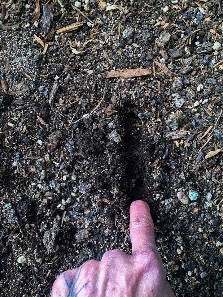 Healthy Soil Test with finger