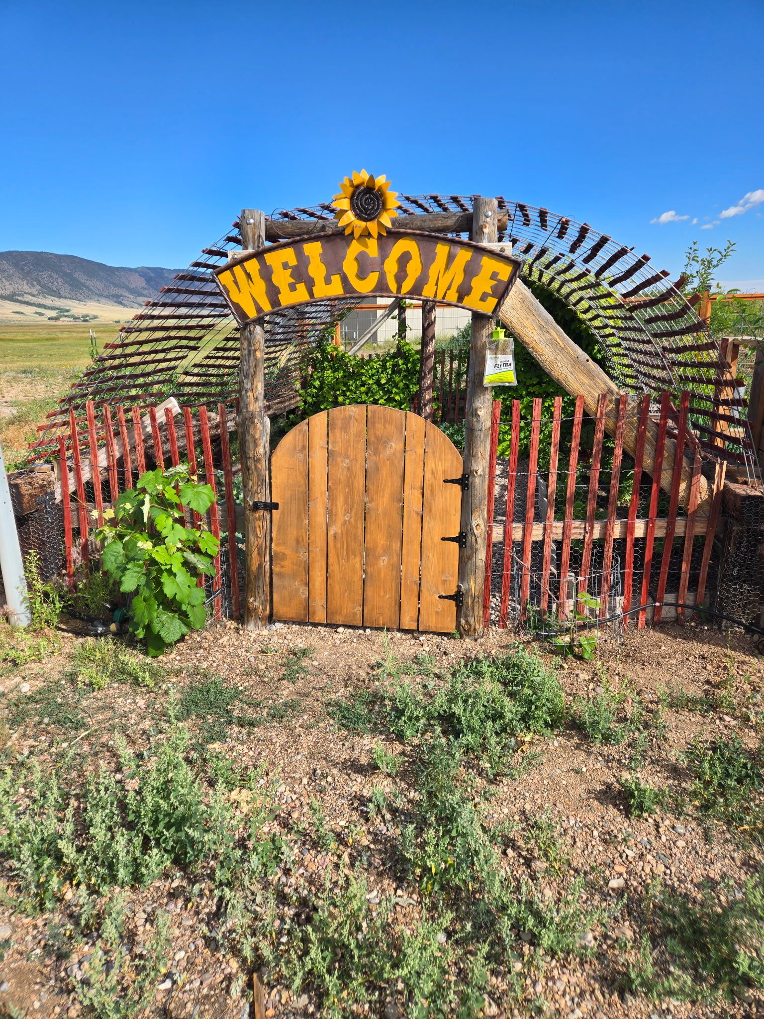 custom hoop house the Waugh family outdoor garden with a big welcome sign and metal sunflower over the gate