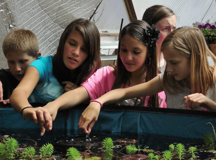 School Kids learning about the Growing Dome Greenhouse pond