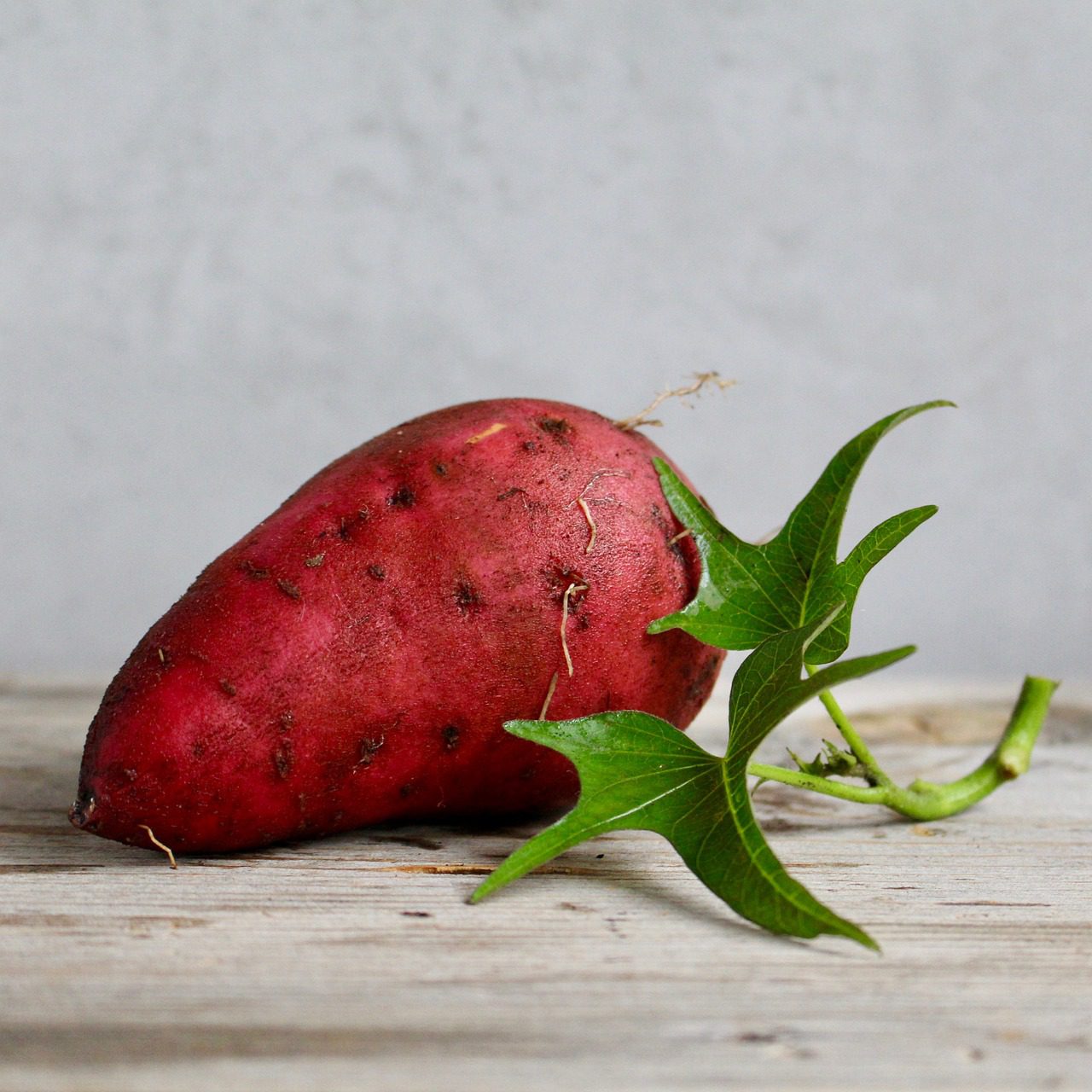 Growing sweet potato and leaves