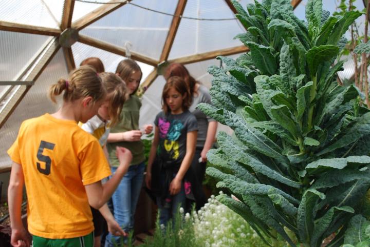 Garden grants have helped many schools purchase a Growing Dome