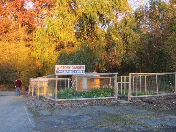 garden at Wayne's Auto Spa