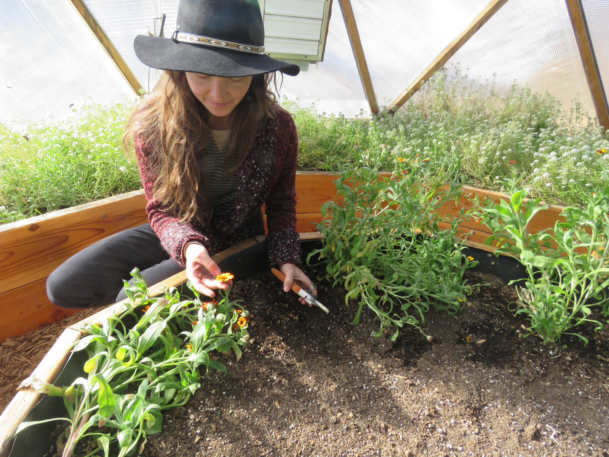 gardening not stressful