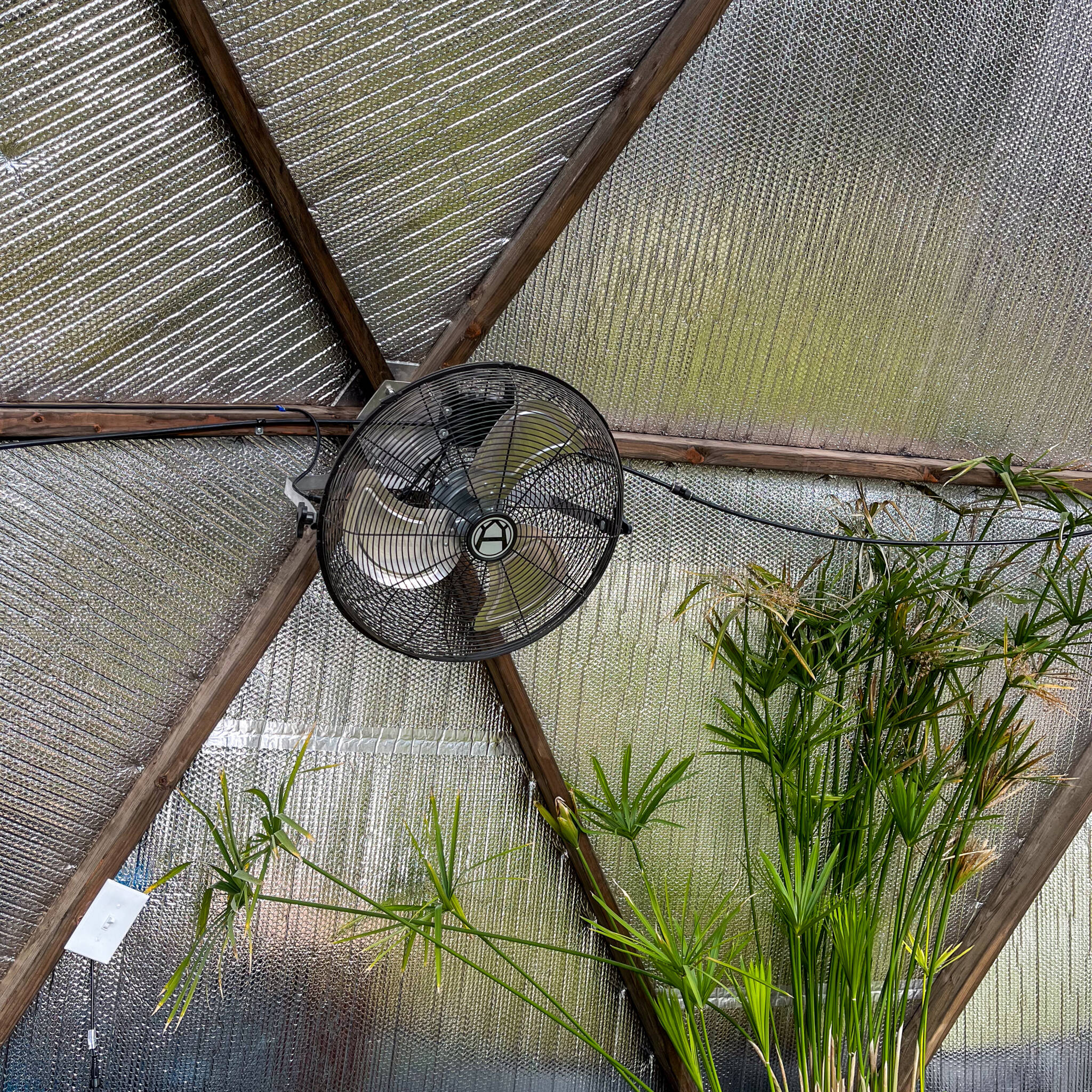 Horizontal Air Flow Fan in a greenhouse
