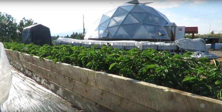 Cloud City Grow Dome from Growing Spaces