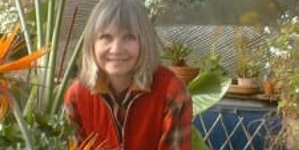 Keynote Address: Staying Centered in the Cyclone image