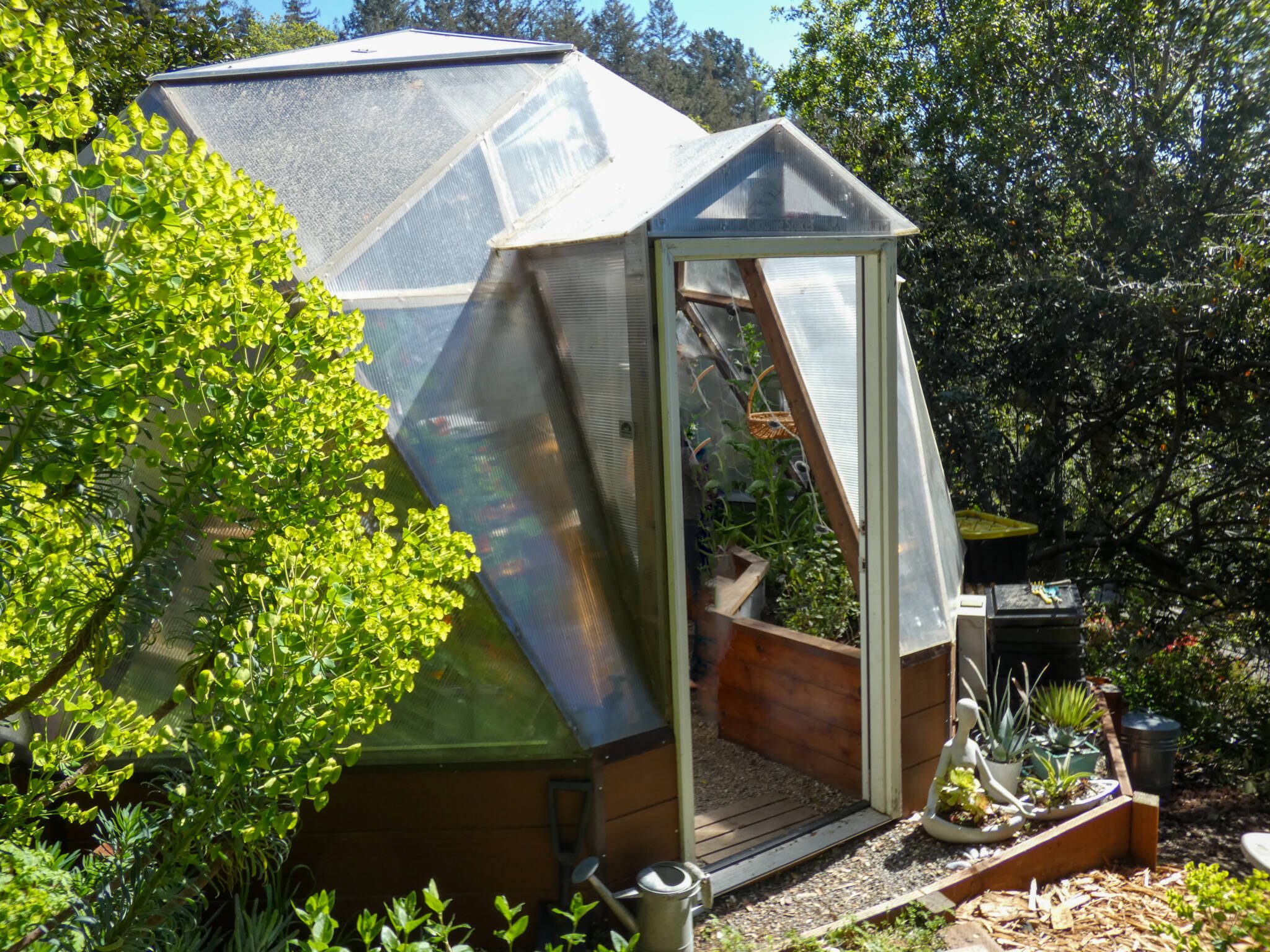18 foot diameter Growing Dome greenhouse surrounded by trees and shrubs