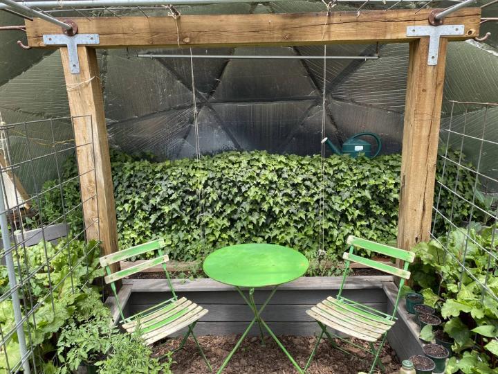 Greenhouse Pond covered in Ivy
