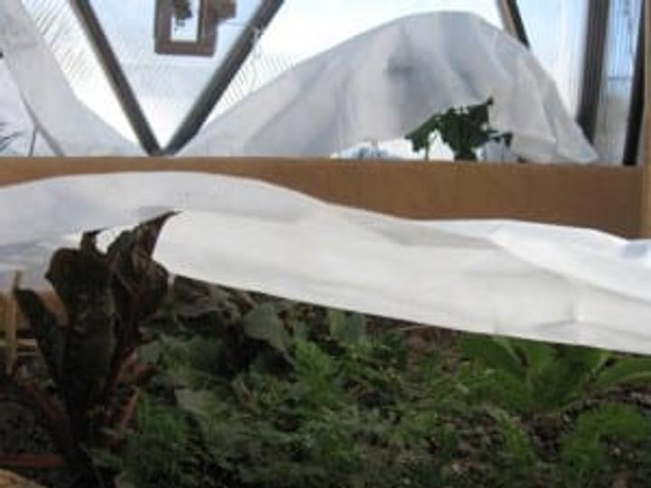 demonstration of row cover over winter crops