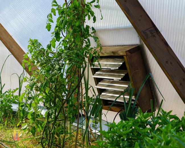 louvered fan shutters open inside a greenhouse