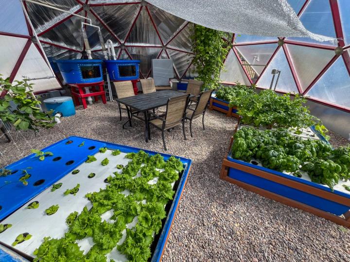 floating rafts of lettuce and basil in an aquaponics system in a Growing Dome
