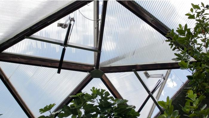 UV Light can prevent powdery mildew