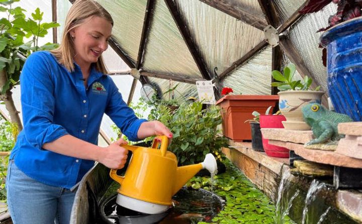 Filling a watering can from the greenhouse pond