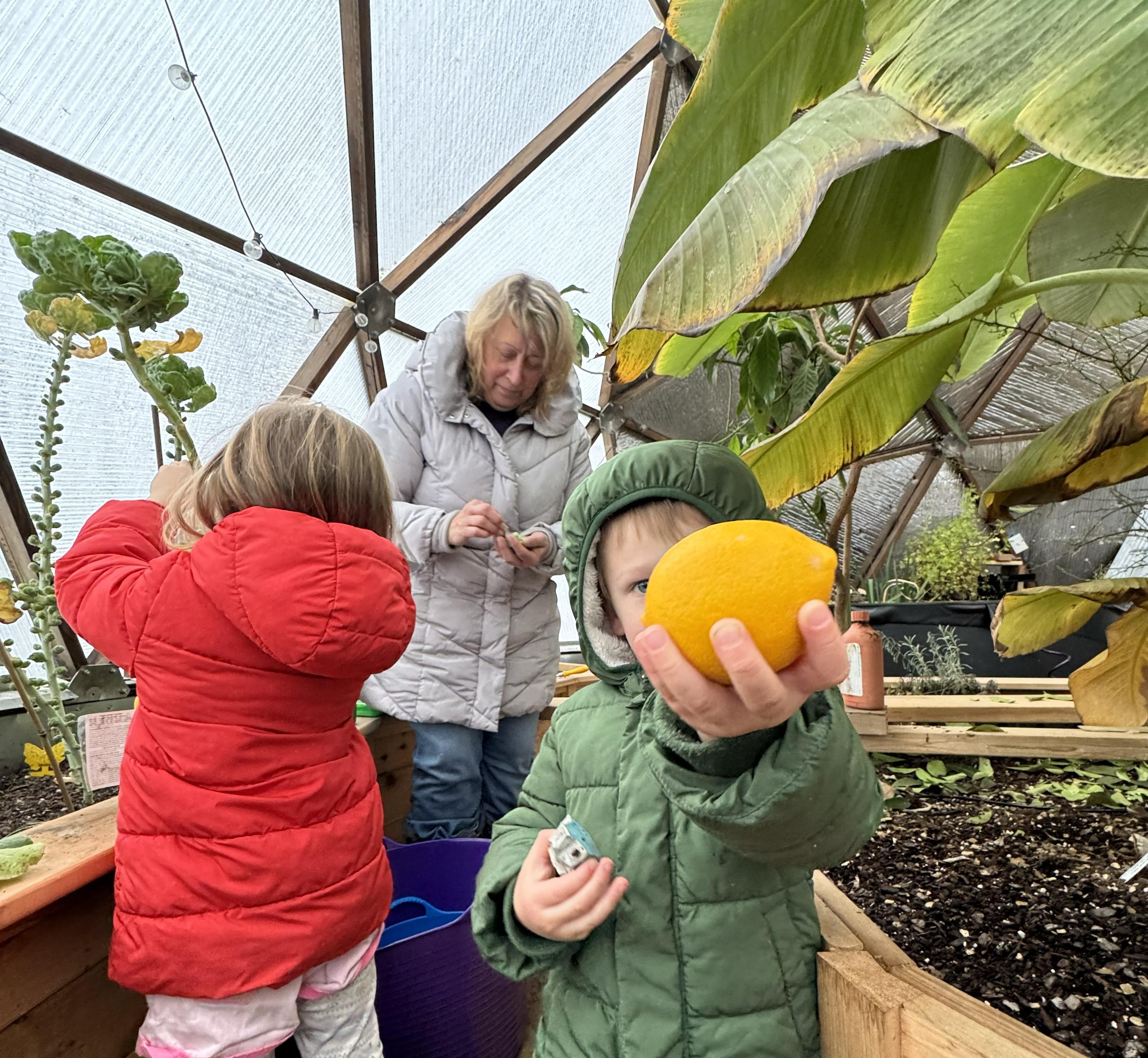 Family members harvesting a lemon inside the Nedams' Northern Michigan Growing Dome
