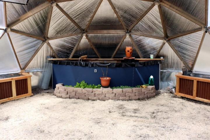 Greenhouse above ground pond
